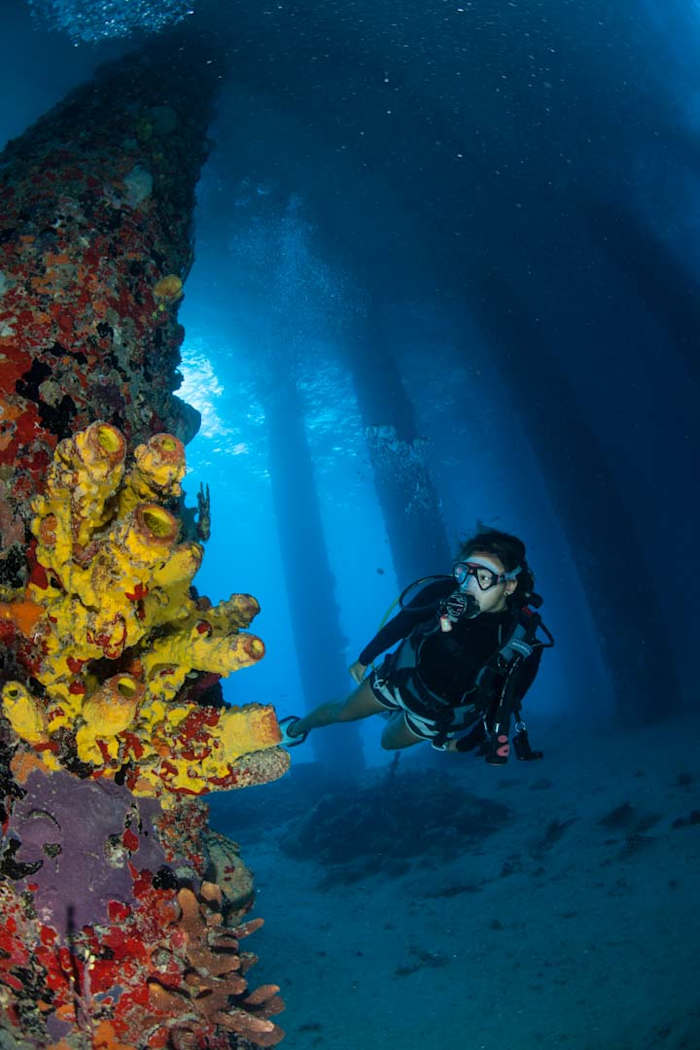 USVI St. Croix Fredericksted Pier Dive Site